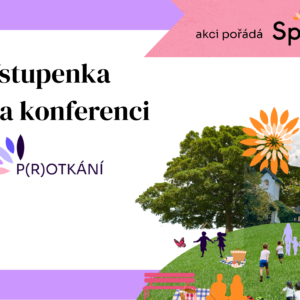 Vstupenka P(r)otkání 2026 - konference